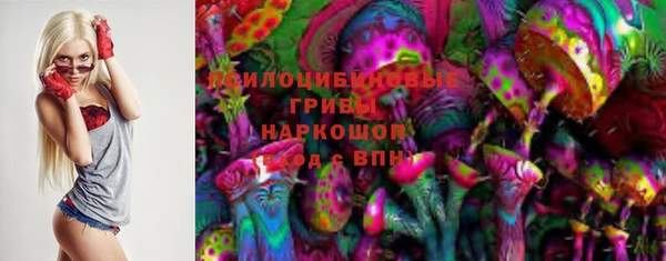прущая мука Корсаков