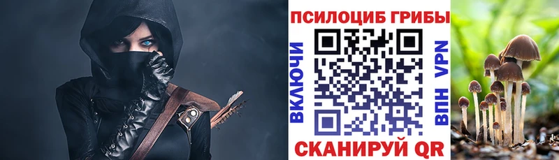 закладка Брюховецкая Галлюциногенные грибы ЛСД